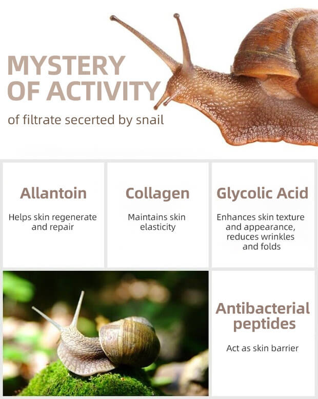 snail secretion filtrate